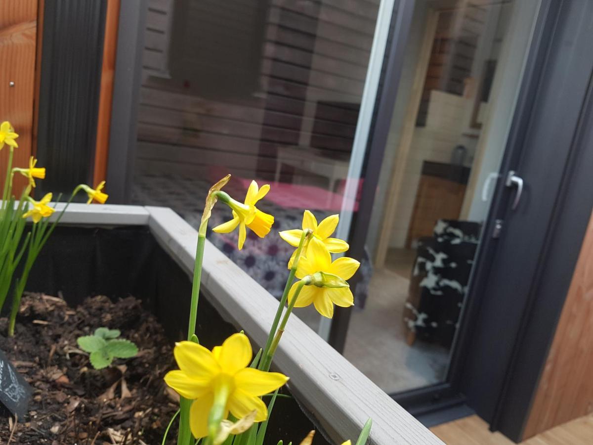 Angers Green Lodge 外观 照片